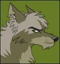 greyback.jpg
